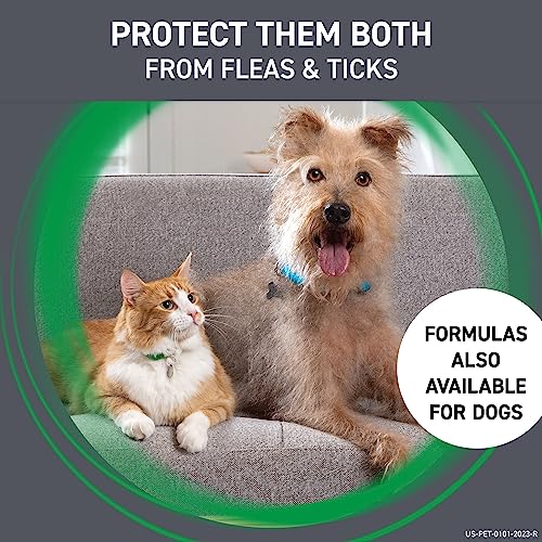 FRONTLINE Plus Flea and Tick Treatment for Cats Over 1.5 lbs., 8
