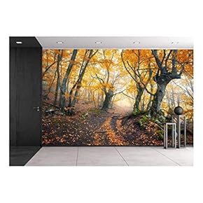 Mysterious Dark Old Forest in Fog. Autumn Morning in Crimea. Magical Atmosphere. Fairytale - Removable Wall Mural | Self-Adhesive Large Wallpaper - 66x96 inches