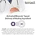 Rapid Relief Feminine Care Vaginal Ointment 28gm Tube & Cleansing Soap Natural for Yeast infections Vaginal Itch Odor Irritation Restores pH Balance by terrasil