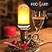 Flame Bulb, LED Flame Light Bulbs - 4 Modes - E26/E27 LED Flickering Flame Light Bulb With Upside Down Feature / Change Direction.