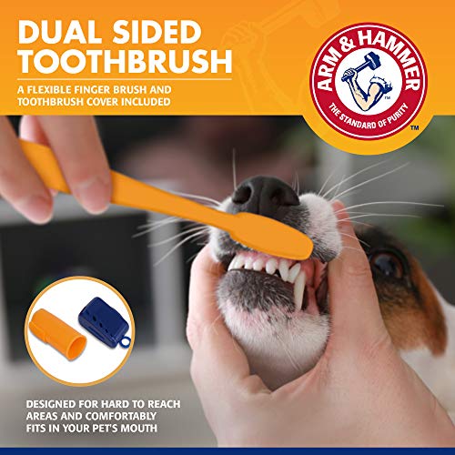 Arm & Hammer for Pets Tartar Control Kit for Dogs 3Piece Kit