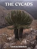 The Cycads by 