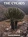 The Cycads by 