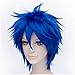 Flovex Short Straight Anime Cosplay Wigs Natural Sexy Costume Party Daily Hair (Blue)