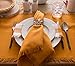 DII Everyday Collection, Fringed Solid Tabletop, Placemat Set, Pumpkin Spice, 6 Piece
