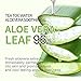 TEATOC Organic Aloe Vera Gel | 100% Pure Aloe With 99.9% Real Gold Component Great for Sunburn Relief, Soothing, Eczema, Psoriasis, Razor Burn, Acne - 8.45 oz, Pack of 2