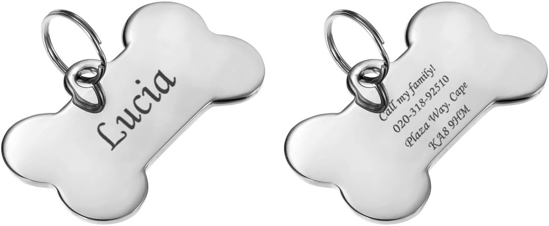 Valyria Stainless Steel Custom Engraved Silver Bone Pet ID Tags for Large Dogs 29mmx50mm(1 1/8" x 1")