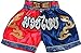 Nakarad Kid Muay Thai Boxing Shorts 2 Years Old - 10 Years Old