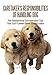 Caretaker's Responsibilities Of Handling Dog: The Fundamental Consideration Tips That Each Canine Ow by Jaye Isaac
