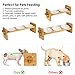 Petacc Elevated Dog Bowls Raised Pet Bowl Dog Bowls Cat Feeders with Bamboo Holder and 3 Melamine Bowls for Cats and Small Dogs, 2 Usage Ways (1)