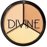 Divine Skin & Cosmetics Concealer Pro Palette 8.5G