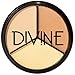 Divine Skin & Cosmetics Concealer Pro Palette 8.5G