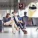 Pacasso RFID Blocking Money Belt- Hidden Travel belt- Passport/Card Belt- Ideal for Women or Men-Black