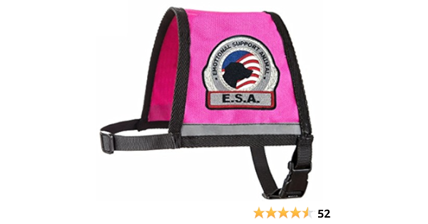 esa vest amazon