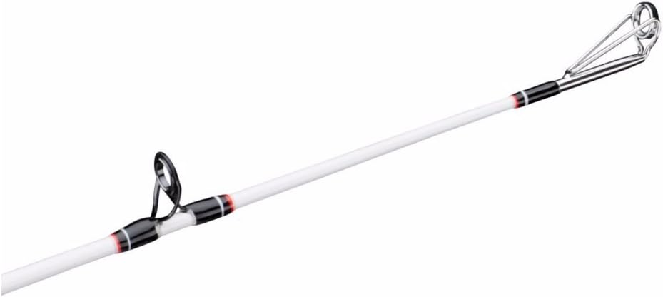 berkley big game rod and reel combo