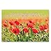 BIBLE QUOTES postcard set of 20 postcards. Christian inspirational Bible verses post card pack. Made in USA.