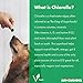 Sun Chlorella Rejuv-A-Wafers Daily Dog Cat & Animal Superfood Supplement - Green Microalgae & Eleuthero Bits - Vitamins, Minerals, Antioxidants Support Immune Defense, Gut Health - 60 Wafers