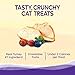 Wellness Kittles Crunchy Natural Grain Free Cat Treats, Turkey & Cranberry, 2-Ounce Bag