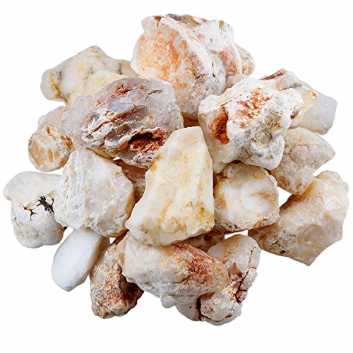 SUNYIK Natural Raw Stones Rough Rock Crystals for Tumbling,Cabbing,White Opal,1pound(about 460 gram)