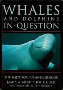 Whales And Dolphins In Question The Smithsonian Answer