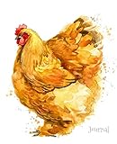 Journal: Orpington (Chicken Collection) by Dreamflight Publications
