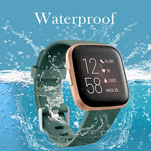 fitbit versa special edition bands