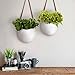 LA JOLIE MUSE Wall Hanging Planters - Modern Wall Decor 7.5 X 5.7 Inch Unglazed Ceramic Air Plant Holder Indoor, Succulent Pot with Leather Strap, Set of 2 White