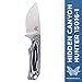 Benchmade - Hidden Canyon Hunter 15016-1 Compact Fixed Hunting Knife Made in USA with Kydex Belt Loop Sheath with Buckle, Drop-Point Blade, Plain Edge, Satin Finish, G10 Handle