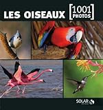 les oiseaux by 