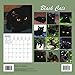 Black Cats Calendar - 2016 Wall calendars - Cat Calendar - Kitten Calendar - Monthly Wall Calendar by Magnum