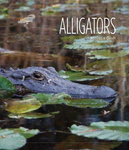 Living Wild: Alligators