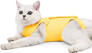 oUUoNNo Cat Wound Surgery Recovery Suit for Abdominal Wounds or Skin Diseases, After Surgery Wear, Pajama Suit, E-Collar Alternative for Cats and Dogs