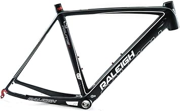 raleigh militis 1
