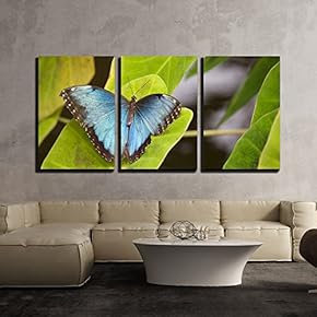 Butterfly on The Leaf x3 Panels