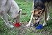 Collapsible Dog Bowls - Dishwasher Safe Food Grade Silicone Portable Pet Bowls