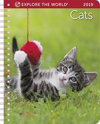 Cats Weekly Engagement Calendar 2019 Planner 6.5" x 8.5" Spiral