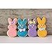 Easter Bunny Cookie Cutter Set -3 Pieces - Stainless Steel Assorted Sizes