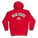 Ohio State Buckeyes Kids Hooded Sweatshirt Red