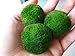 Luffy 3 Giant Marimo Moss Balls (1.5