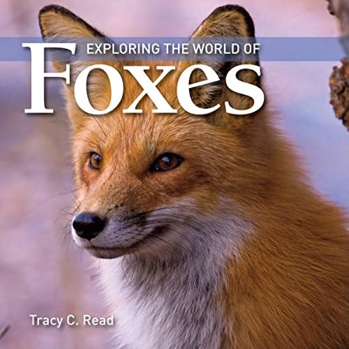 Fox World: 500 Miles of Walks and Talks with an Old Fox: Russell
