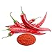 ROM AMERICA Korean Chili Capsaicin Sauce Hot Spicy Dressing Liquid Type 캡사이신 액상 550g