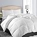 EASELAND All Season Twin/Twin XL Size Soft Quilted Down Alternative Comforter Reversible Duvet Insert with Corner Tabs,Winter Summer Warm Fluffy,White,64x88 inches