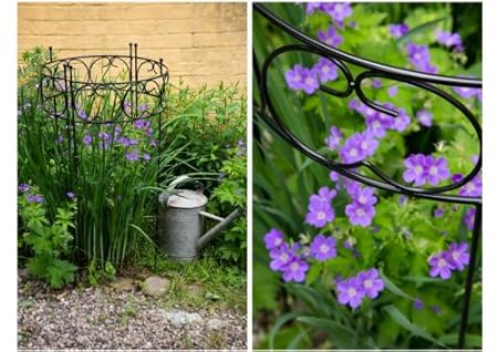 【ᐅᐅ】Rosenstützen Test Bestseller Vergleich