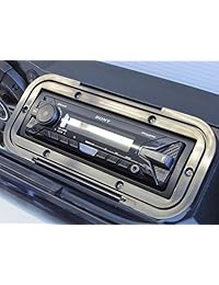 SD PIONEER1K - Pioneer 1000 Radio Estéreo BT UTV de lado a lado