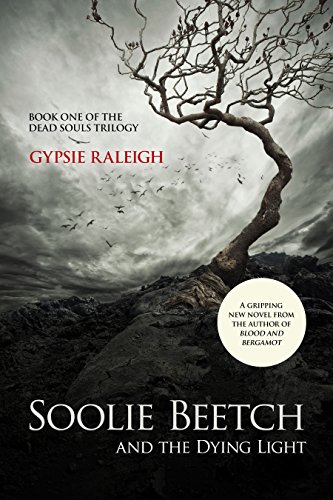 Soolie Beetch and the Dying Light by [Raleigh, Gypsie]