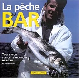 Pêche du bar aux leurres