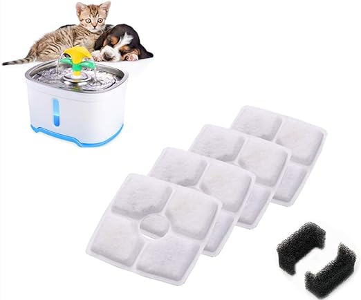 lynx and domestic cat