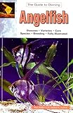 The Guide to Owning Angelfish: Disease, Varieties, Care, Species, Breeding by Braz Walker