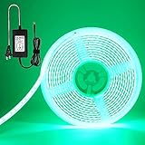 EverBright Green Led Light Strips, 5M(16.4Ft) 600