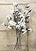 Silvercloud Trading Co. Cotton Stems - 3 Stems/Pack - 10 Cotton Buds/Stem - 20